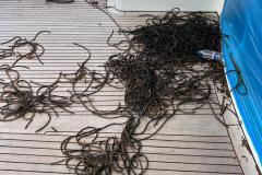 Tekne-White-Pigeon-Lokal-Teak-Degisim-isi-4